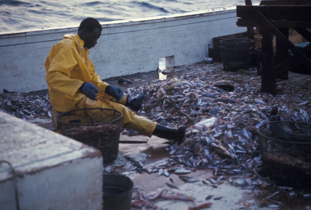 Foto Bant di piombo: attrezzatura da pesca