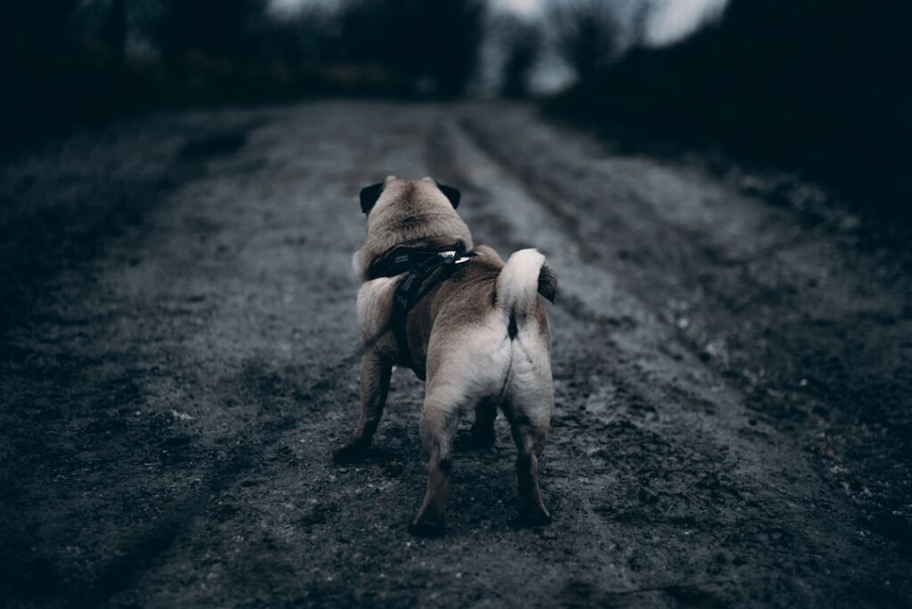 Foto-Trichter zur Lead-Generierung